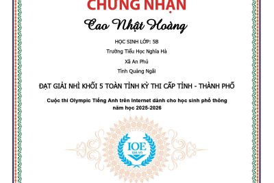 VINH DANH HỌC SINH ĐẠT GIẢI KỲ THI IOE CẤP TỈNH